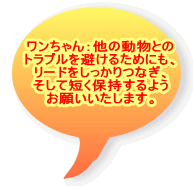 ���������F���̓����Ƃ̃g���u��������邽�߂ɂ��A ���[�h����������Ȃ��A�����ĒZ���ێ�����悤 ���肢�������܂��B