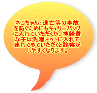 �l�R�����F���S���̎��� ��h�����߂ɂ��L�����[�o�b�O �ɓ���Ă����������A�_�o�� �Ȏq�͐���l�b�g�ɓ���� �A��Ă��Ă��������Ɛf�@�� ���₷���Ȃ�܂��B